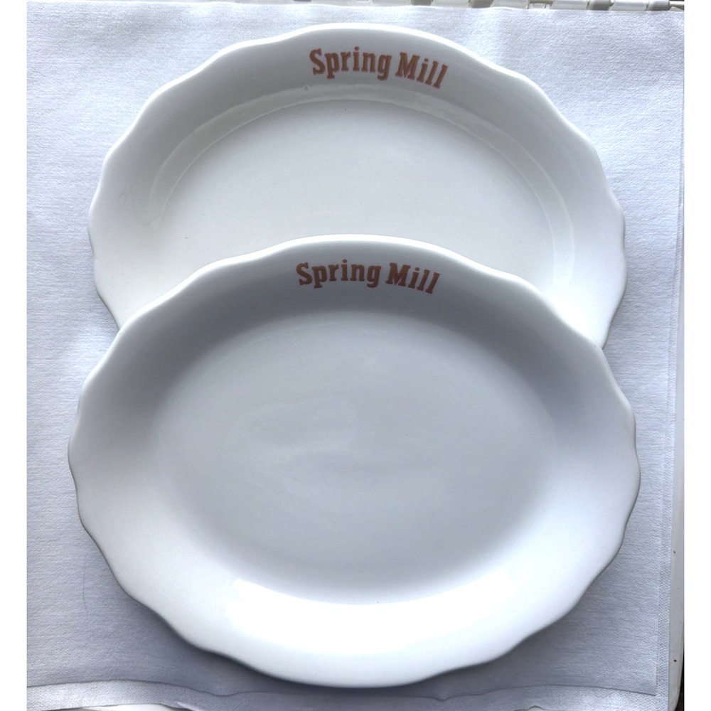 2 Vintage SPRING HILL Restaurant 11" Serving Platter Plates-Jackson Custom China